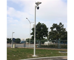 道路監控桿-LB-05